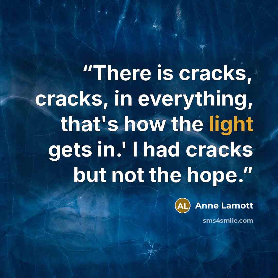 “There is cracks, cracks, in everything, that's how the light gets in.' I had cracks but not the hope.” quote by Anne Lamott