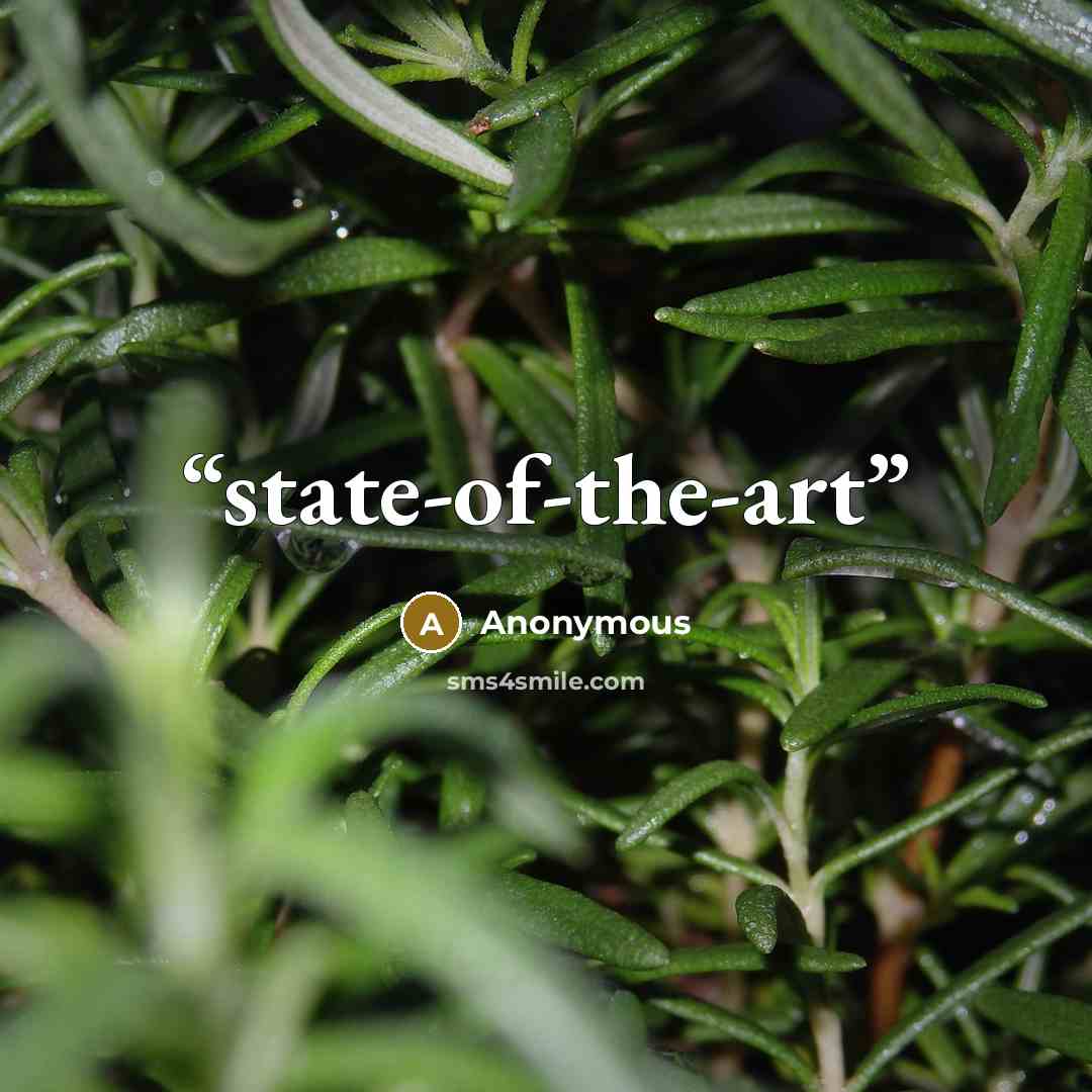 “state-of-the-art” quote by Anonymous