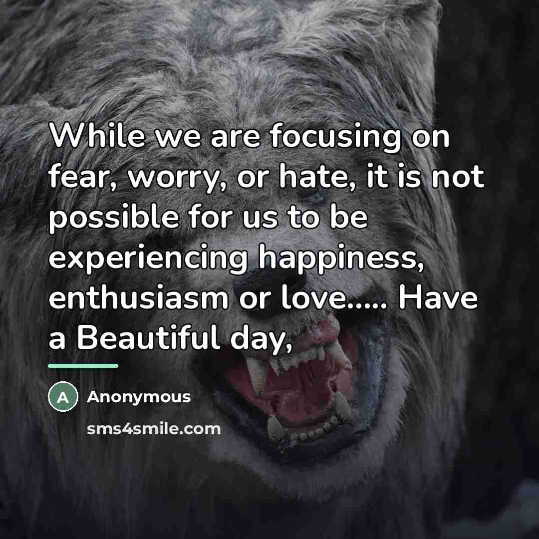 “While we are focusing on fear, worry, or hate, it…” quote by Anonymous
