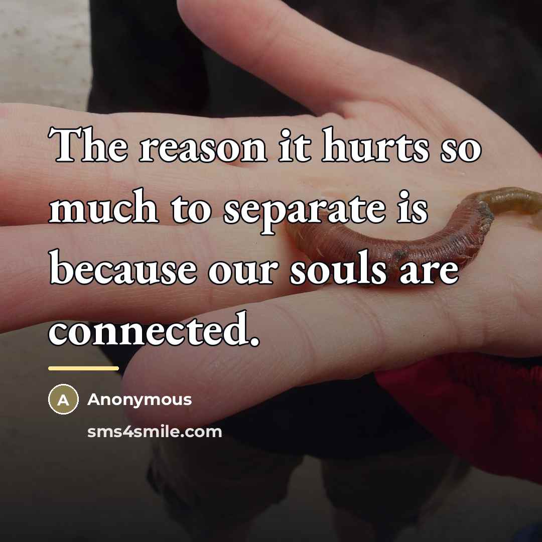 “The reason it hurts so much to separate is because…” quote by Anonymous