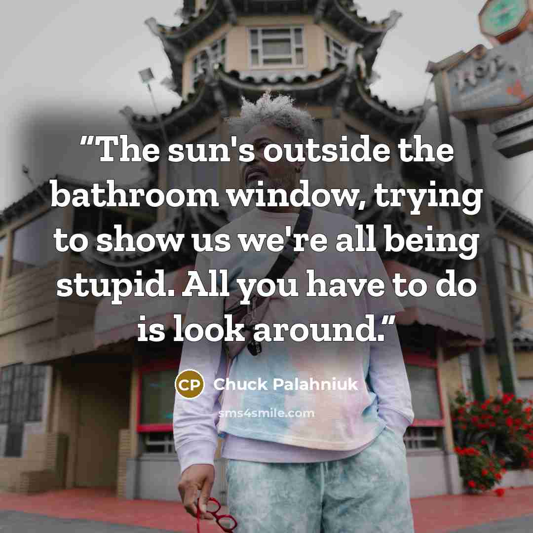“The sun's outside the bathroom window, trying to show us we're all being stupid. All you have to do is look around.” quote by Chuck Palahniuk