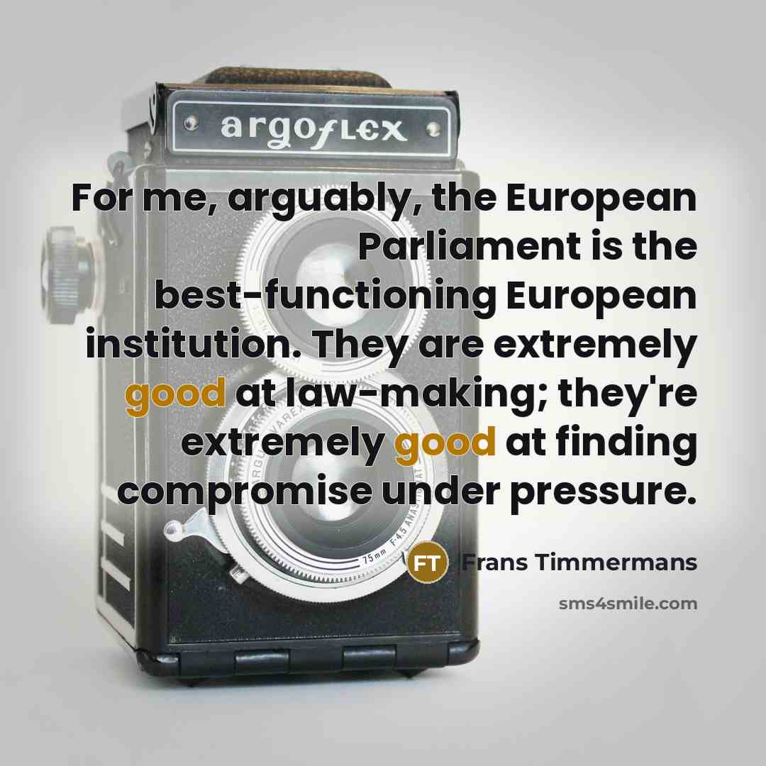 “For me, arguably, the European Parliament is the best-functioning European…” quote by Frans Timmermans