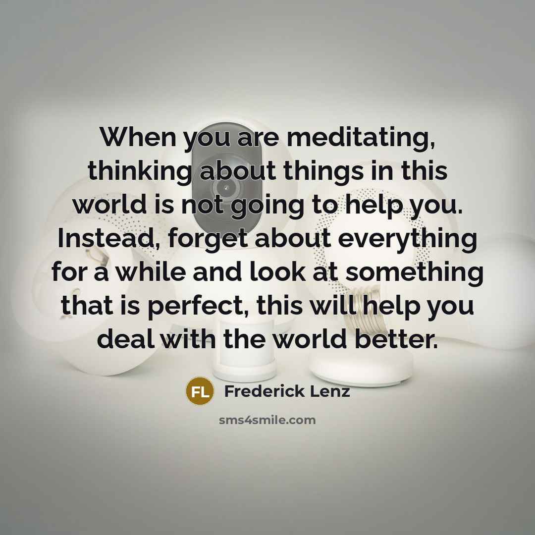 “When you are meditating, thinking about things in this world…” quote by Frederick Lenz