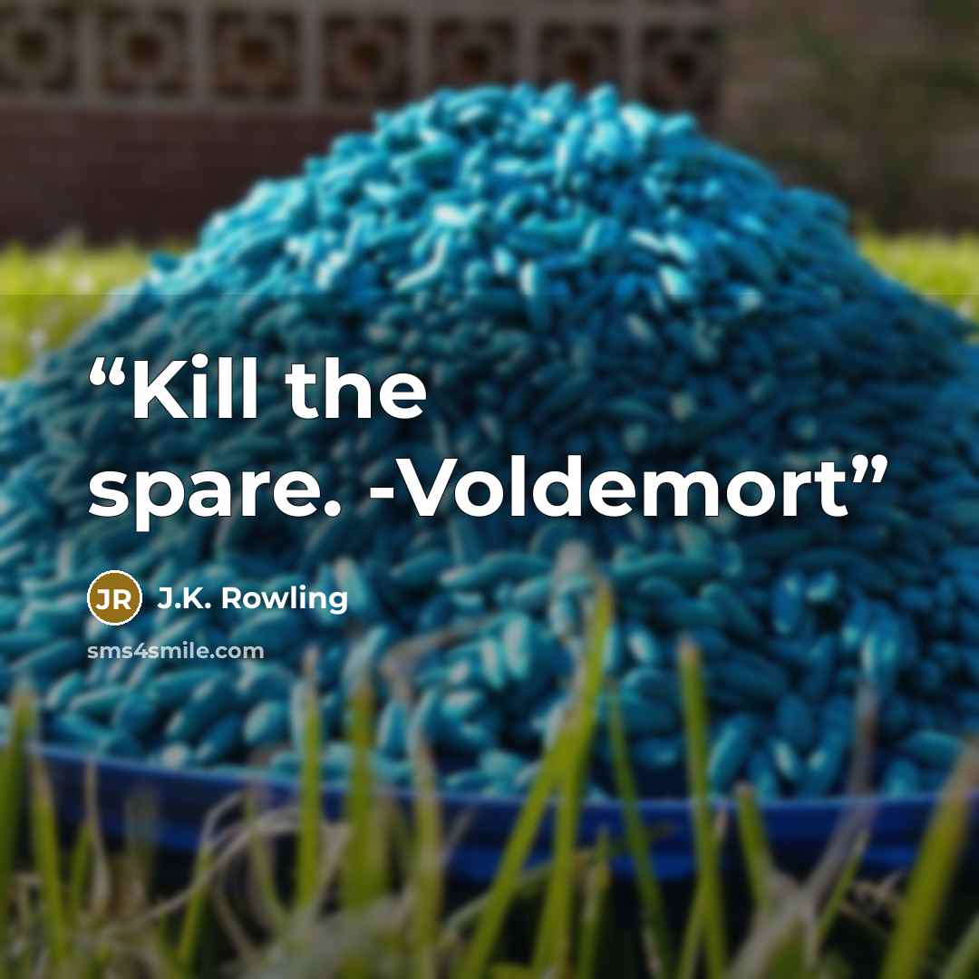 “Kill the spare. -Voldemort” quote by J.K. Rowling