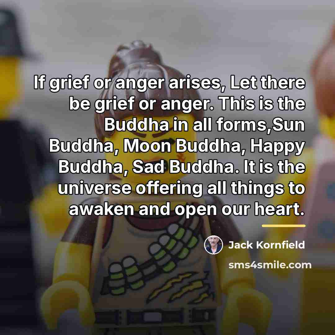 “If grief or anger arises, Let there be grief or…” quote by Jack Kornfield