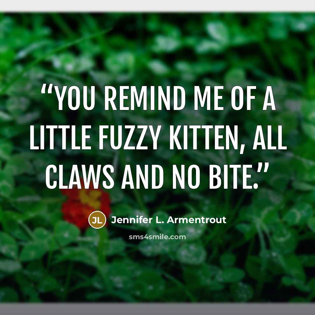 “You remind me of a little fuzzy kitten, all claws and no bite.” quote by Jennifer L. Armentrout