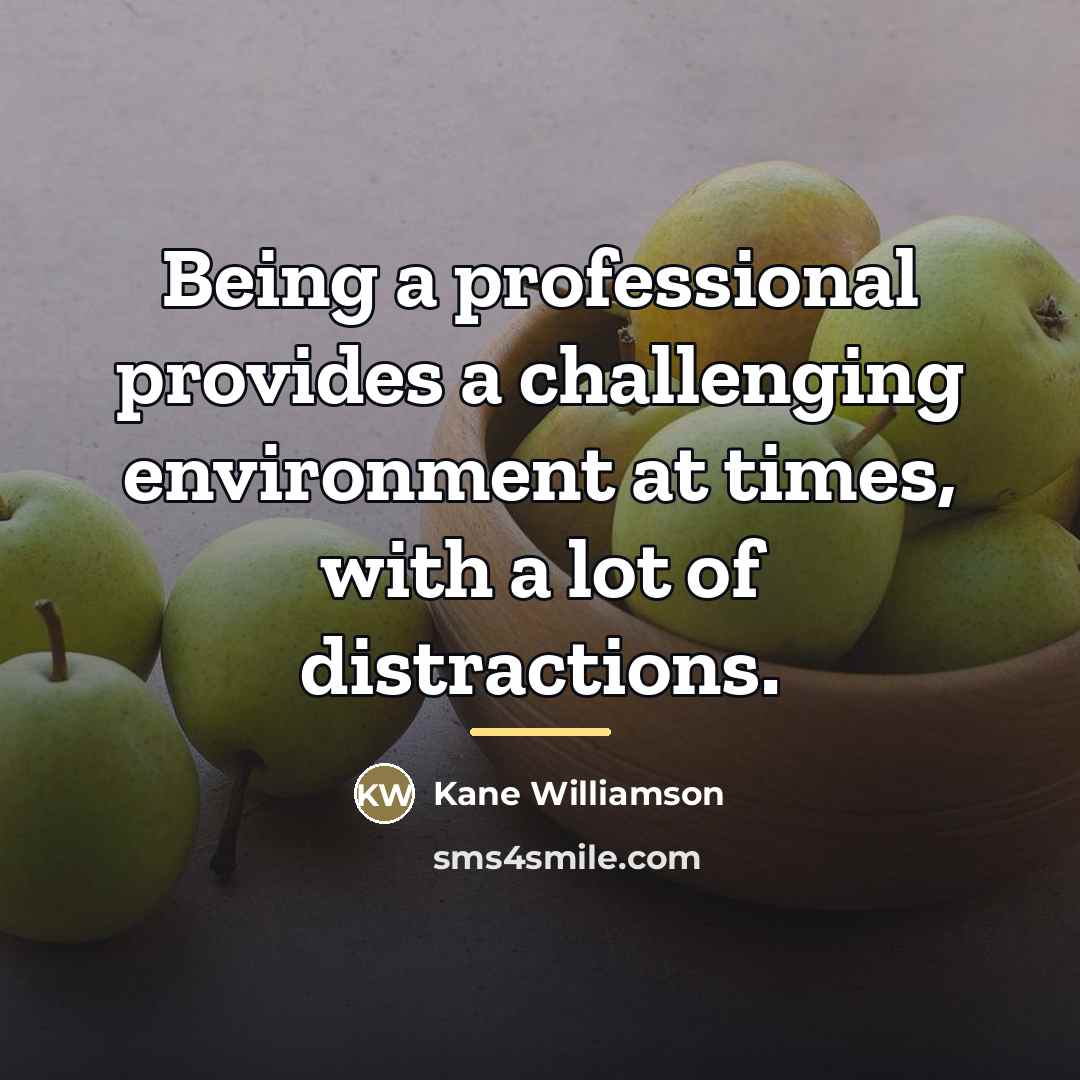 “Being a professional provides a challenging environment at times, with…” quote by Kane Williamson