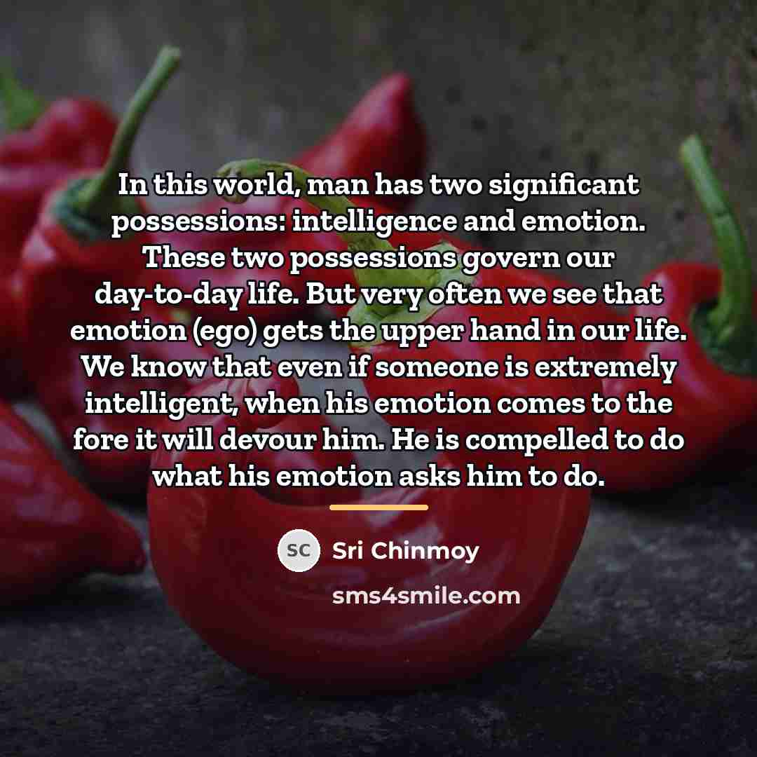 “In this world, man has two significant possessions: intelligence and…” quote by Sri Chinmoy