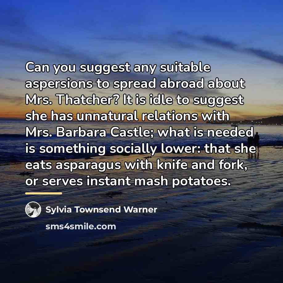 “Can you suggest any suitable aspersions to spread abroad about…” quote by Sylvia Townsend Warner