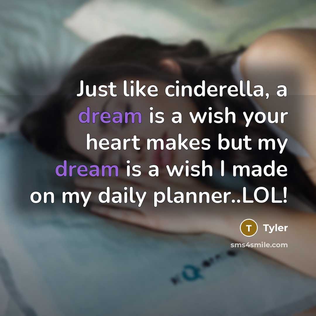 “Just like cinderella, a dream is a wish your heart…” quote by Tyler