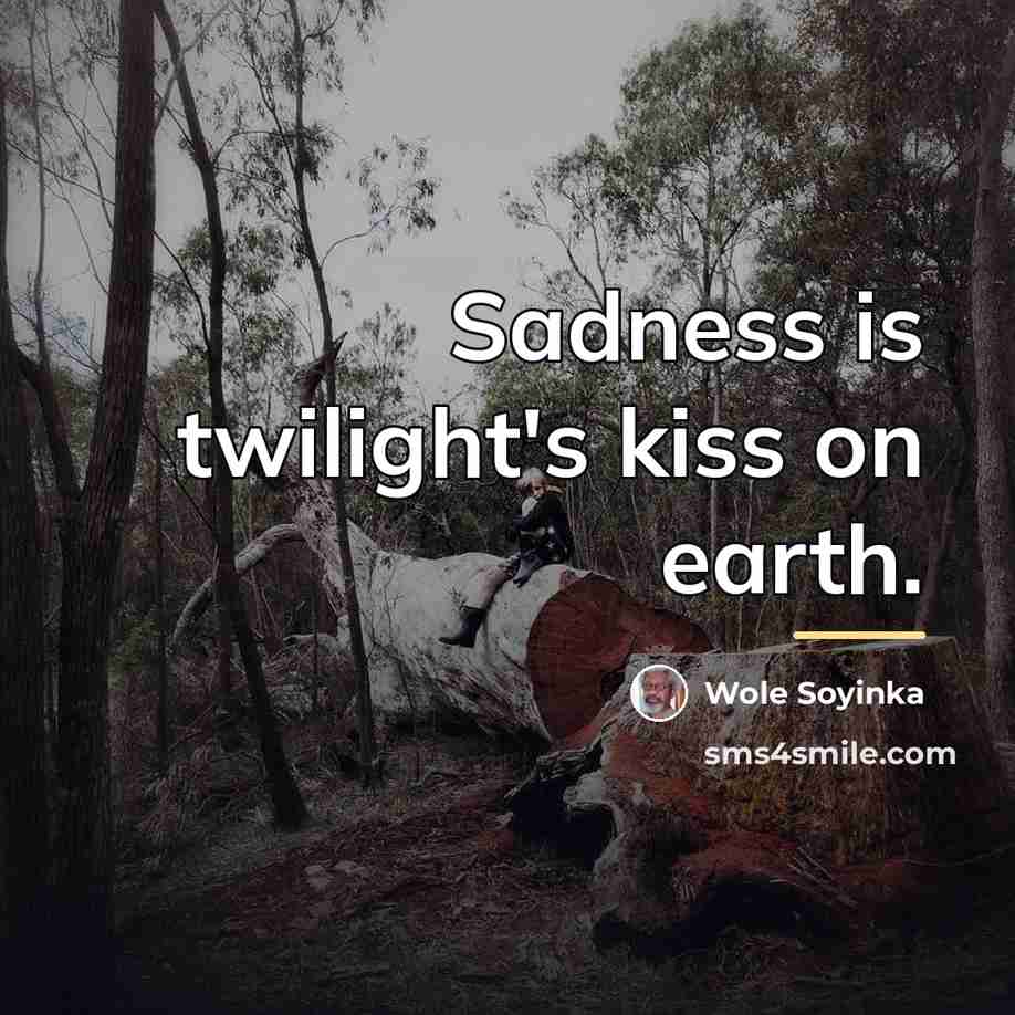 “Sadness is twilight's kiss on earth.…” quote by Wole Soyinka
