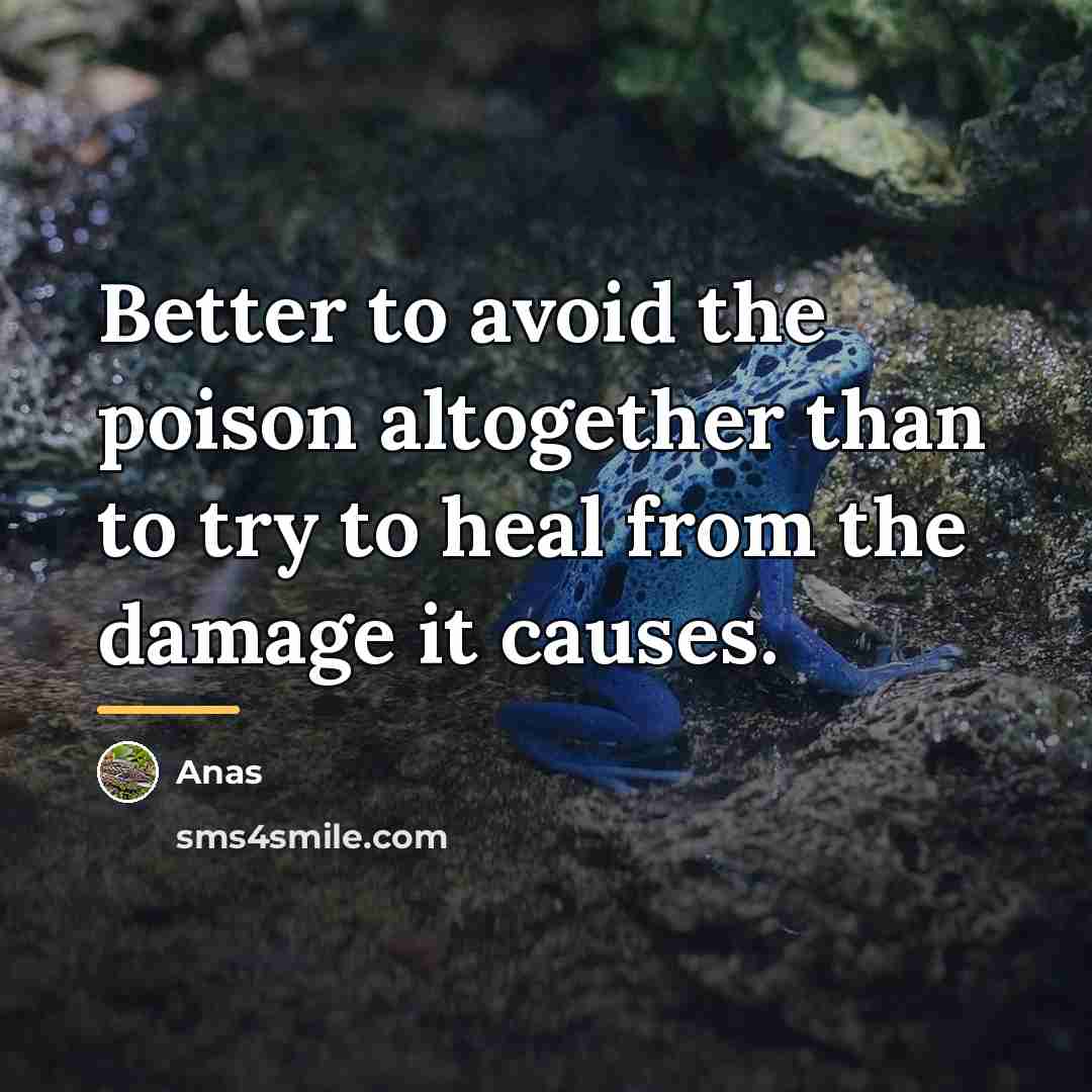 “Better to avoid the poison altogether than to try to…” quote by Anas