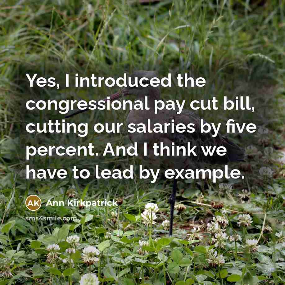 “Yes, I introduced the congressional pay cut bill, cutting our…” quote by Ann Kirkpatrick