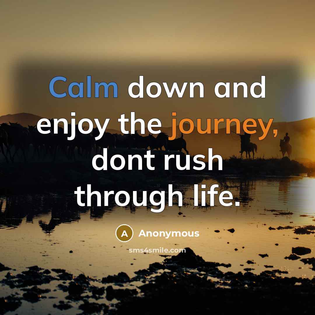 “Calm down and enjoy the journey, dont rush through life.…” quote by Anonymous