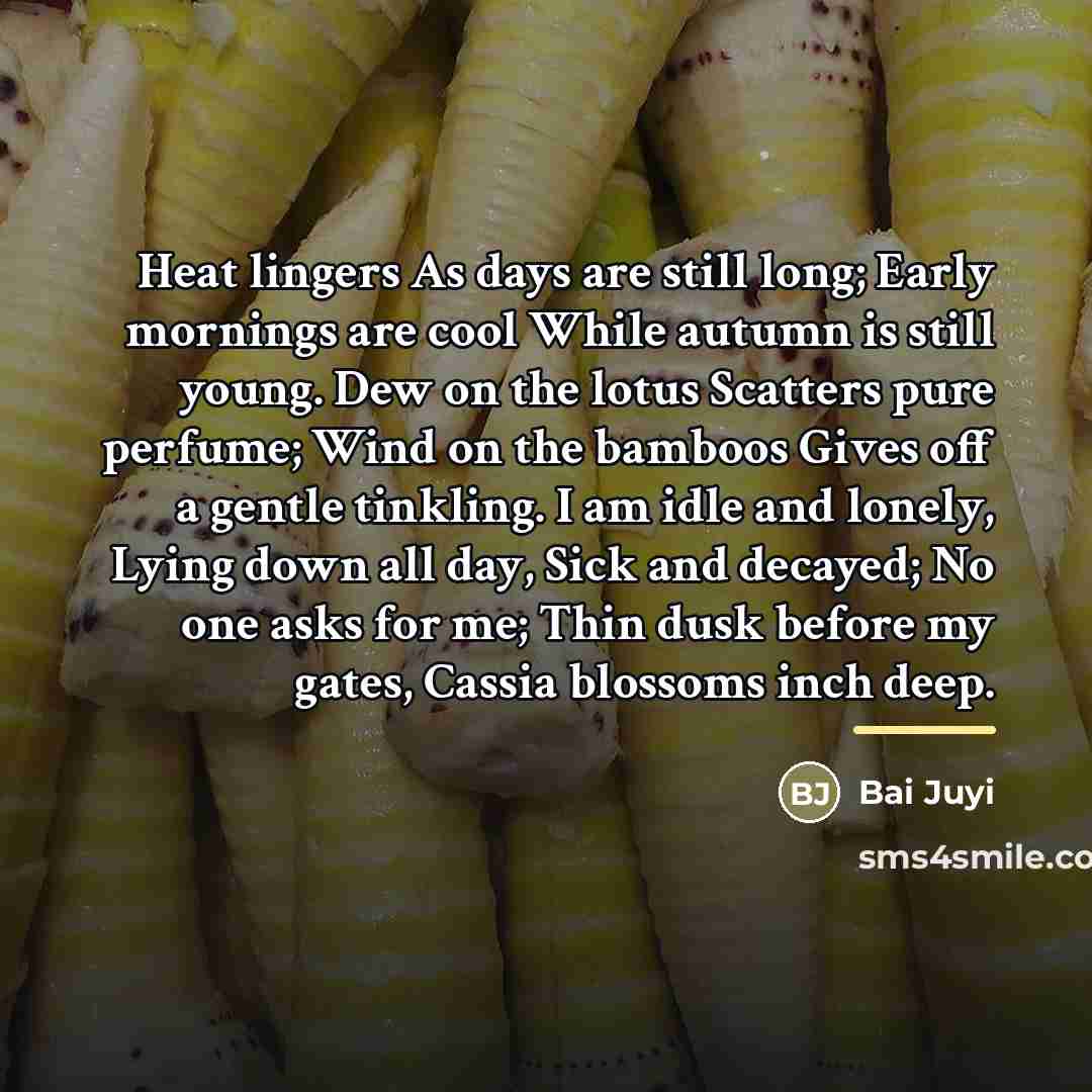 “Heat lingers As days are still long; Early mornings are…” quote by Bai Juyi