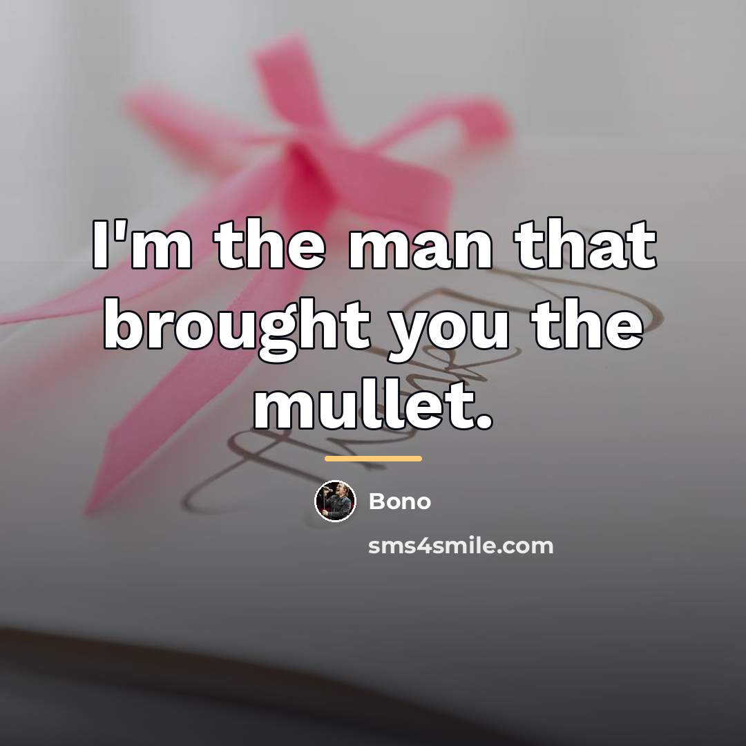 “I'm the man that brought you the mullet.…” quote by Bono