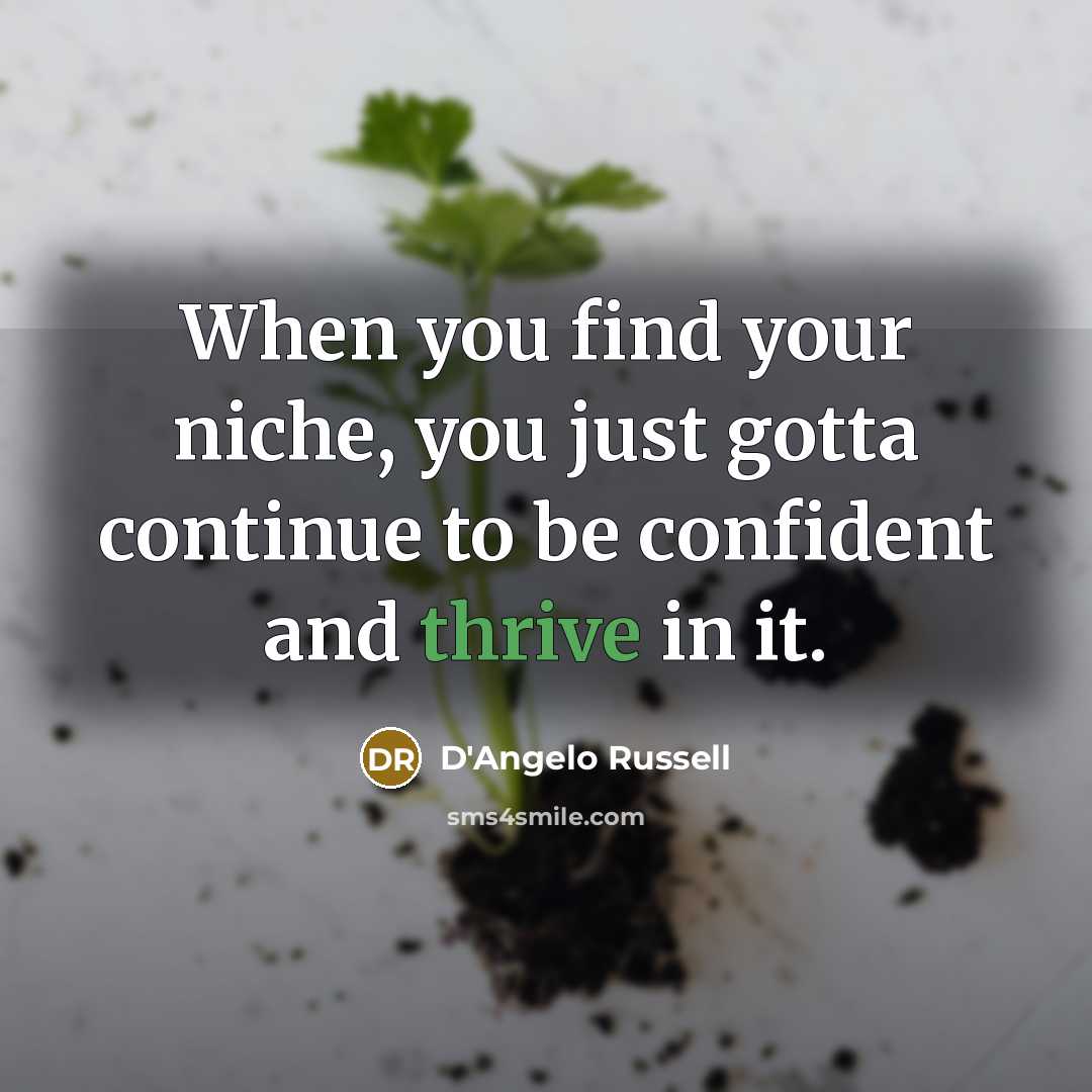 “When you find your niche, you just gotta continue to…” quote by D'Angelo Russell
