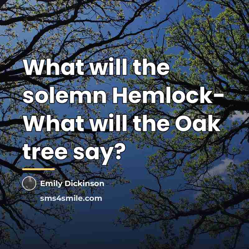 “What will the solemn Hemlock- What will the Oak tree…” quote by Emily Dickinson