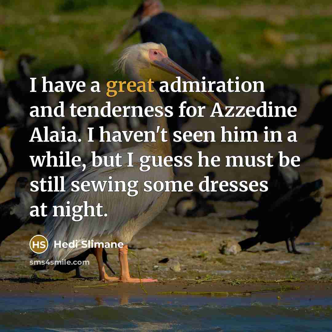 “I have a great admiration and tenderness for Azzedine Alaia.…” quote by Hedi Slimane