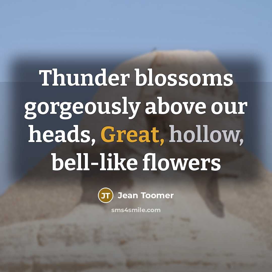 “Thunder blossoms gorgeously above our heads, Great, hollow, bell-like flowers…” quote by Jean Toomer