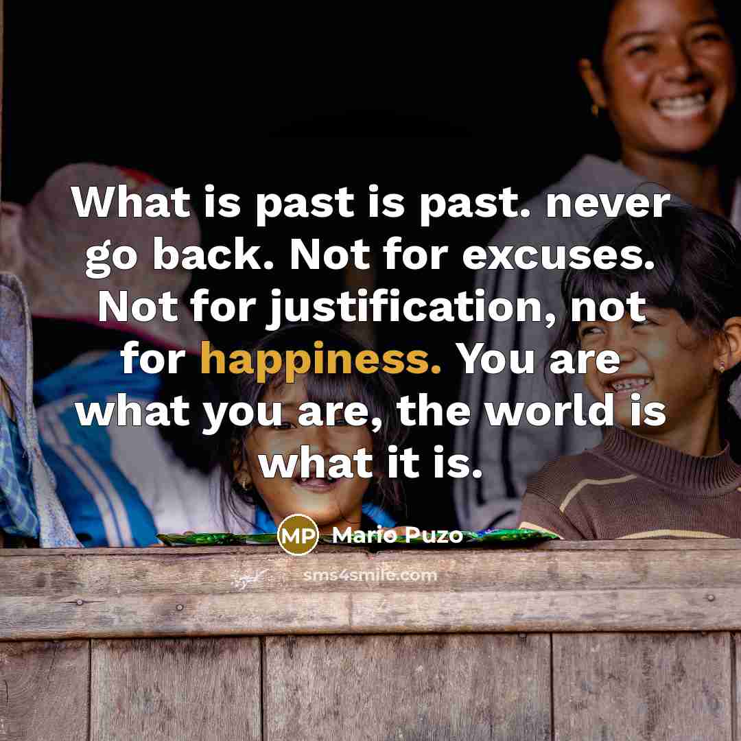 “What is past is past. never go back. Not for…” quote by Mario Puzo