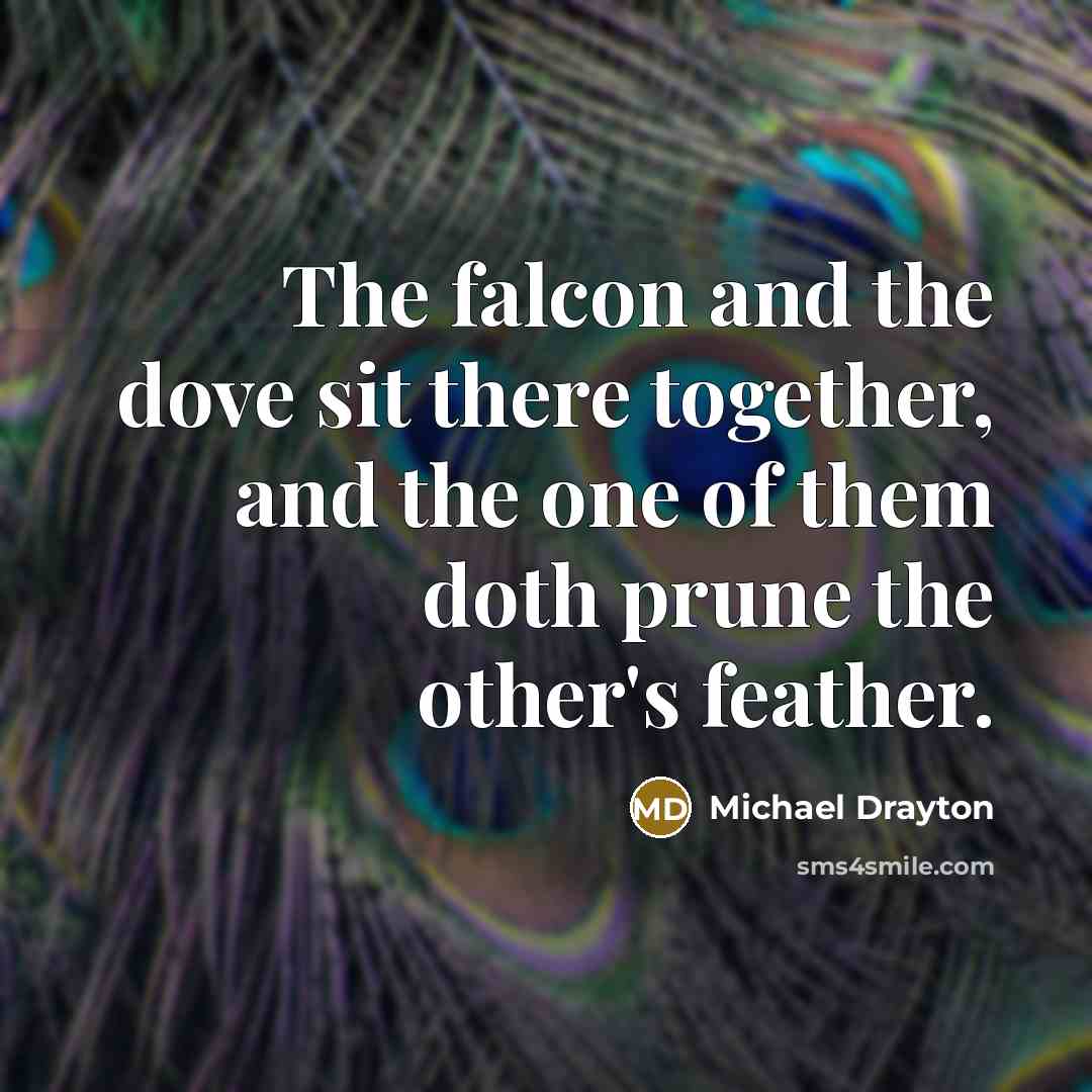 “The falcon and the dove sit there together, and the…” quote by Michael Drayton