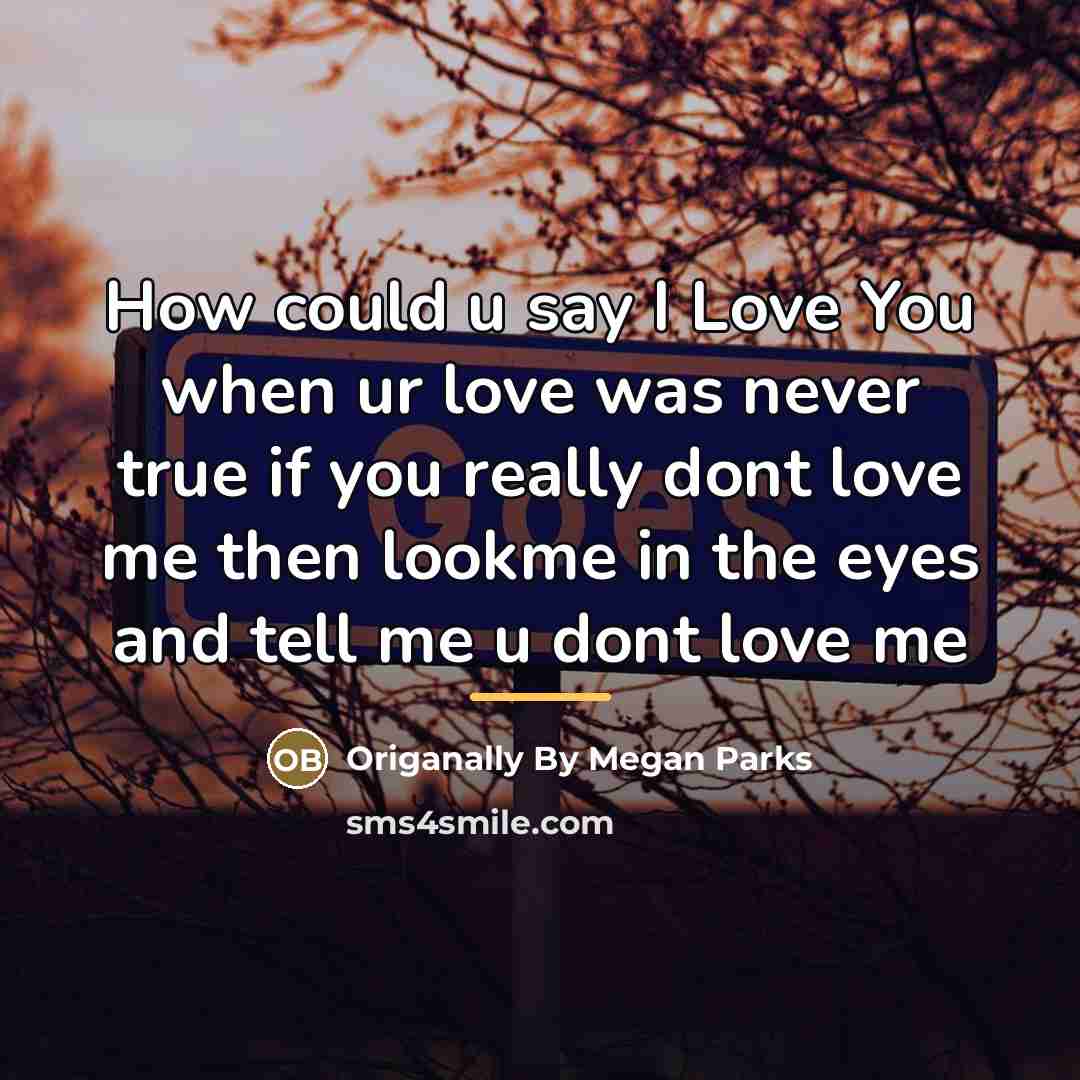 “How could u say I Love You when ur love…” quote by Origanally By Megan Parks