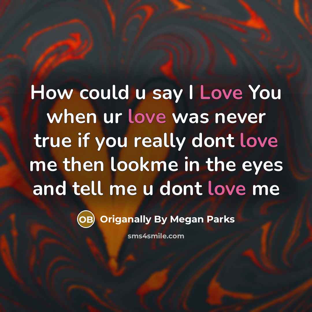 “How could u say I Love You when ur love was never true if you really dont love me then lookme in the eyes and tell me u dont love me” quote by Origanally By Megan Parks
