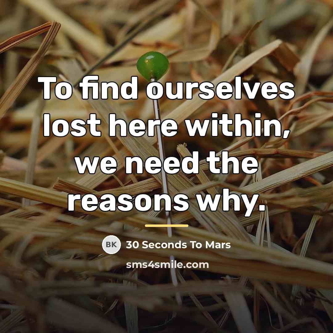 “To find ourselves lost here within, we need the reasons…” quote by 30 Seconds To Mars