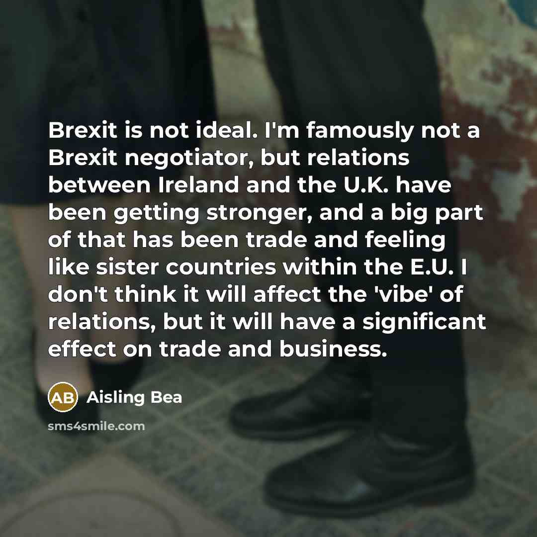 “Brexit is not ideal. I'm famously not a Brexit negotiator,…” quote by Aisling Bea