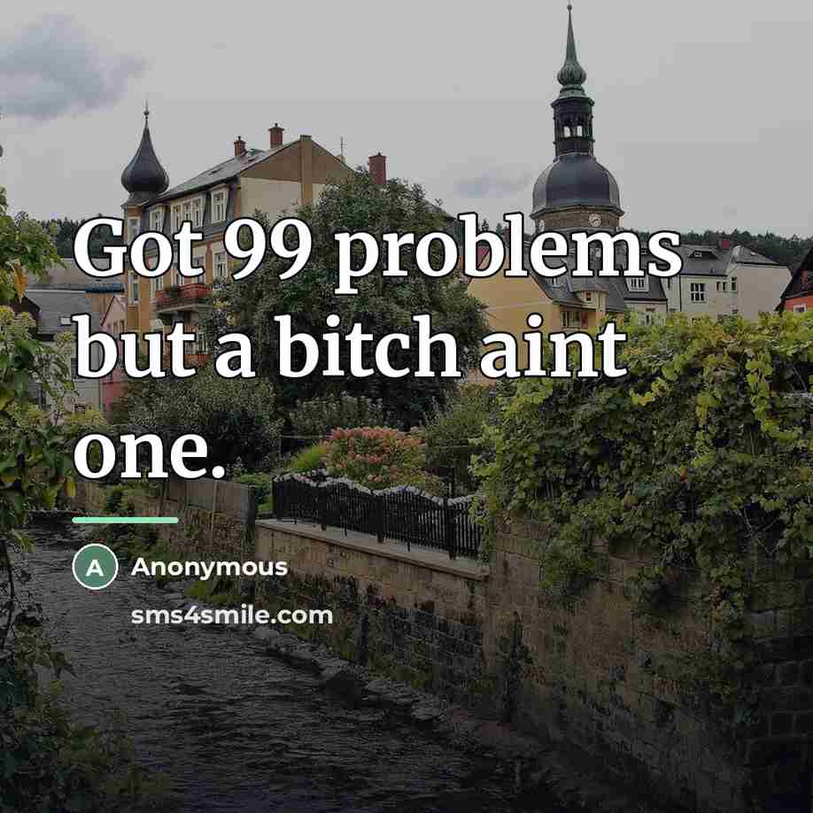 “Got 99 problems but a bitch aint one.…” quote by Anonymous