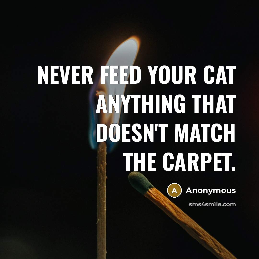 “Never feed your cat anything that doesn't match the carpet.” quote by Anonymous