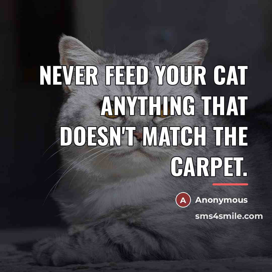 “Never feed your cat anything that doesn't match the carpet.…” quote by Anonymous