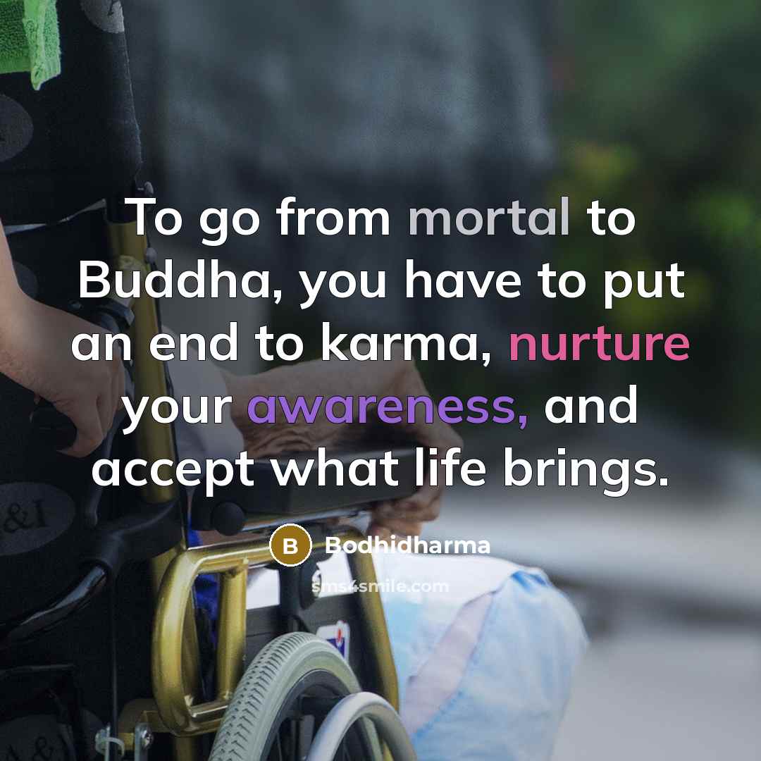 “To go from mortal to Buddha, you have to put…” quote by Bodhidharma