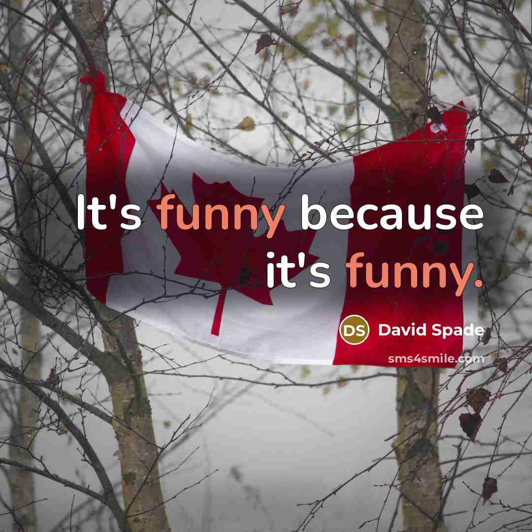 “It's funny because it's funny.” quote by David Spade