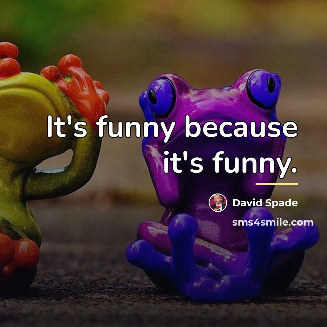 “It's funny because it's funny.…” quote by David Spade