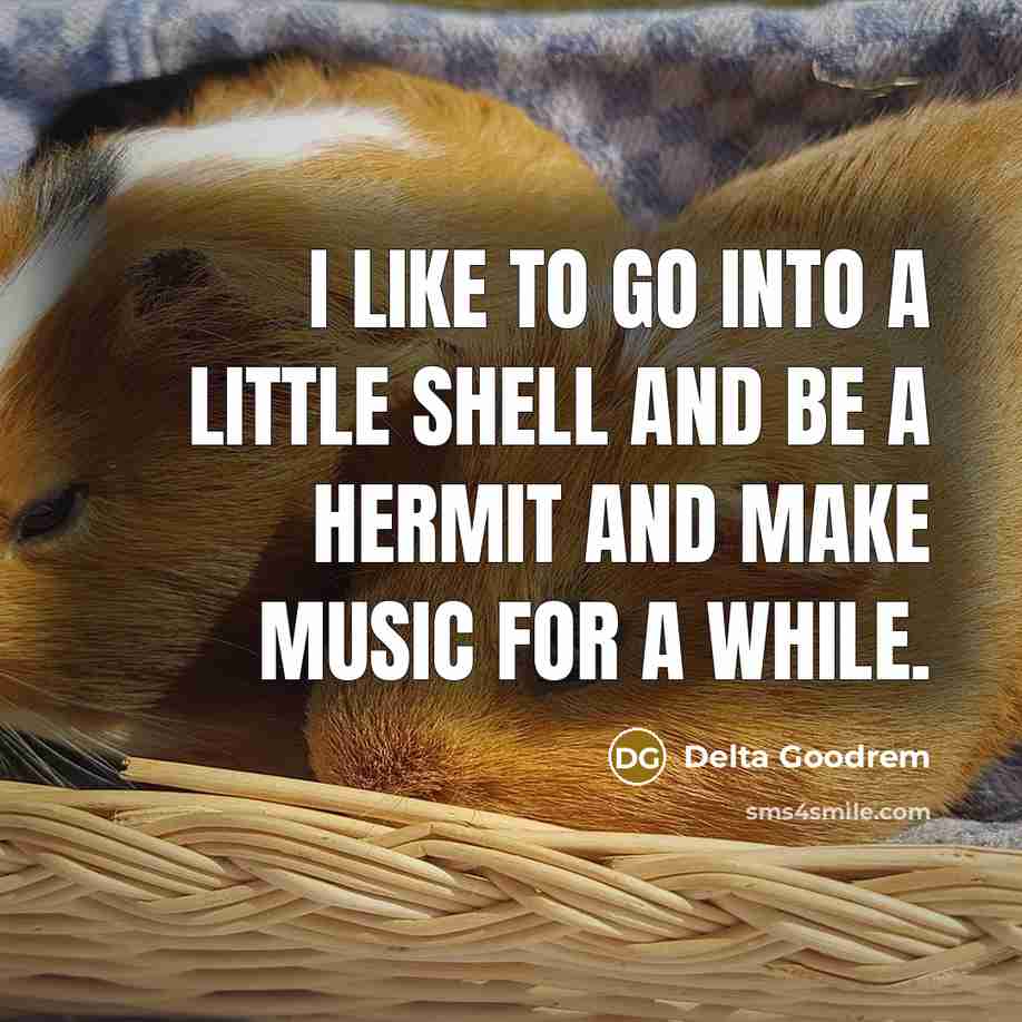 “I like to go into a little shell and be a hermit and make music for a while.” quote by Delta Goodrem