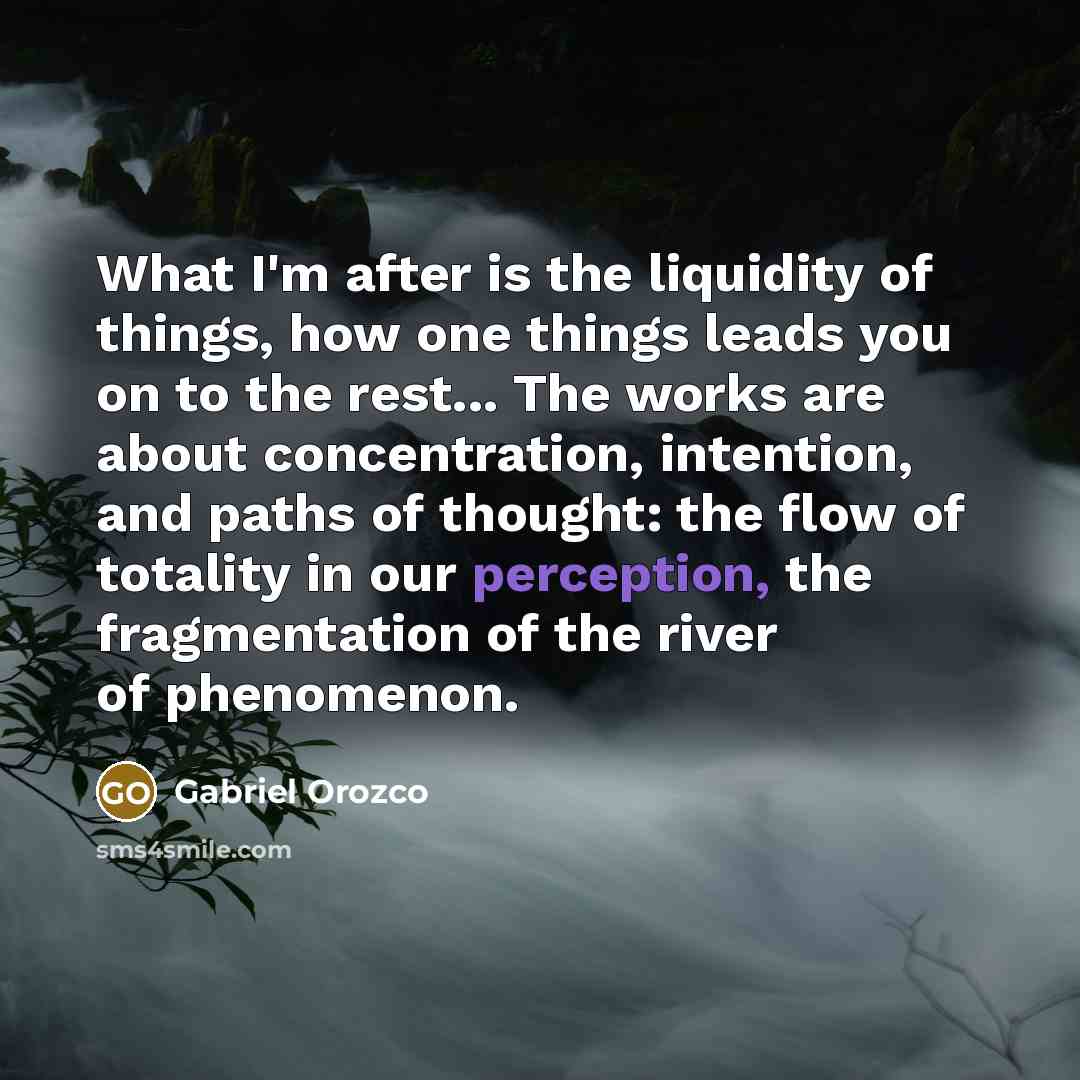 “What I'm after is the liquidity of things, how one…” quote by Gabriel Orozco
