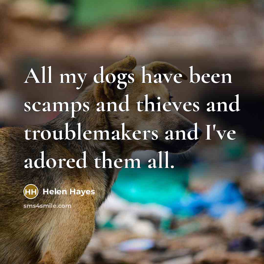 “All my dogs have been scamps and thieves and troublemakers…” quote by Helen Hayes