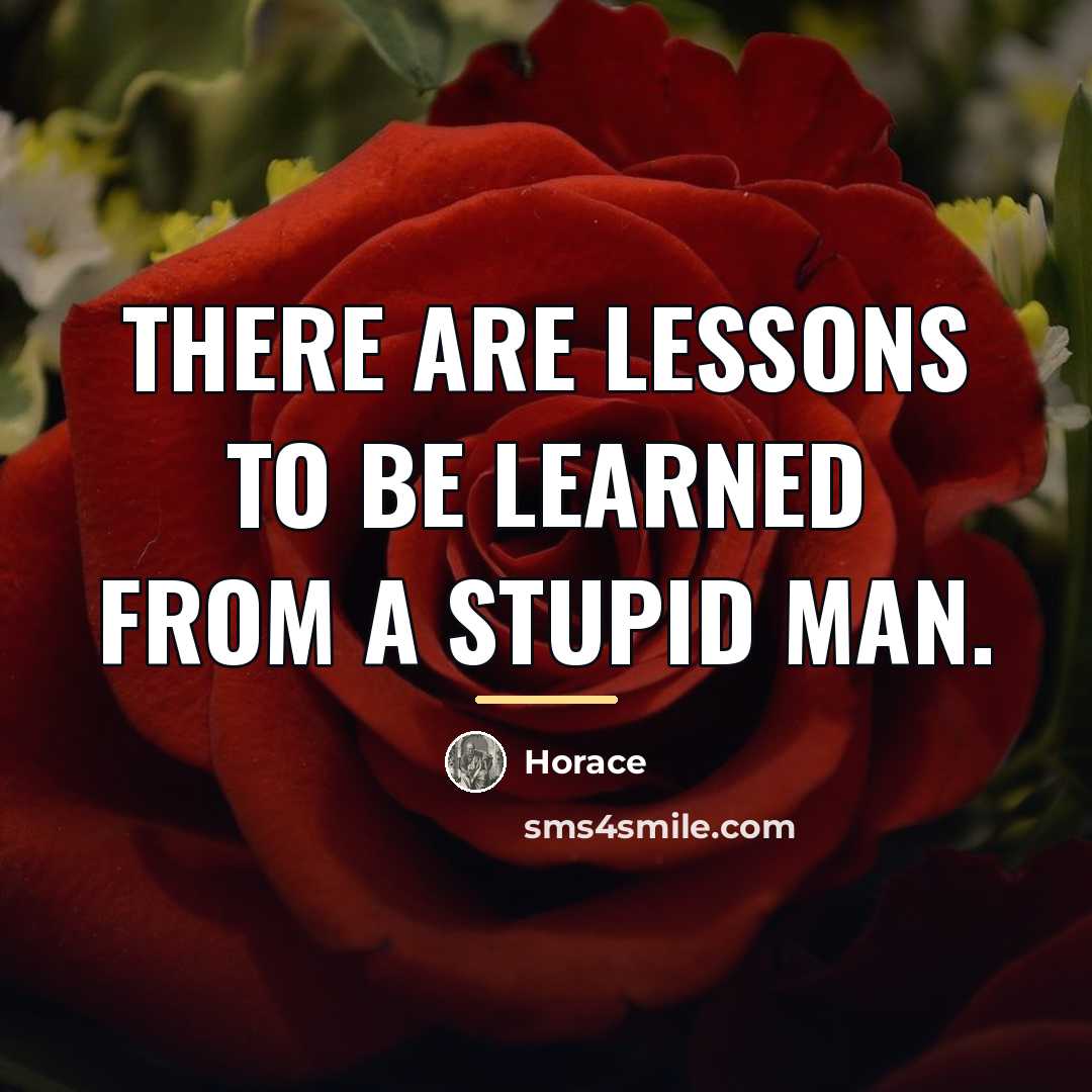 “There are lessons to be learned from a stupid man.…” quote by Horace