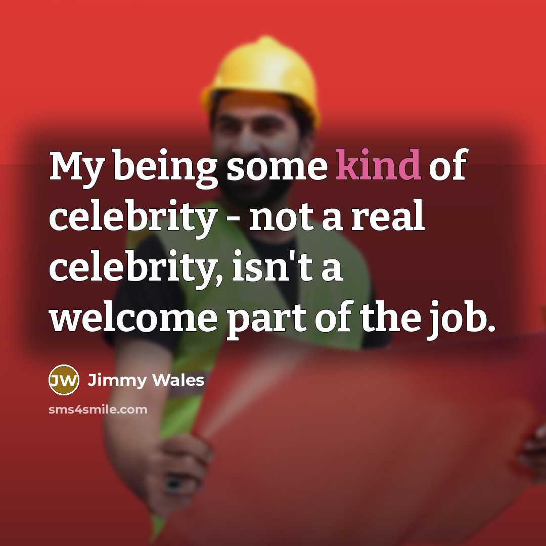 “My being some kind of celebrity - not a real…” quote by Jimmy Wales