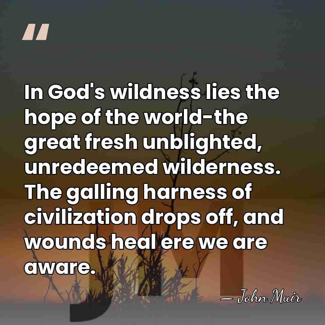 In God's wildness lies the hope of the world-the great fresh unblighted,&hellip; - John Muir