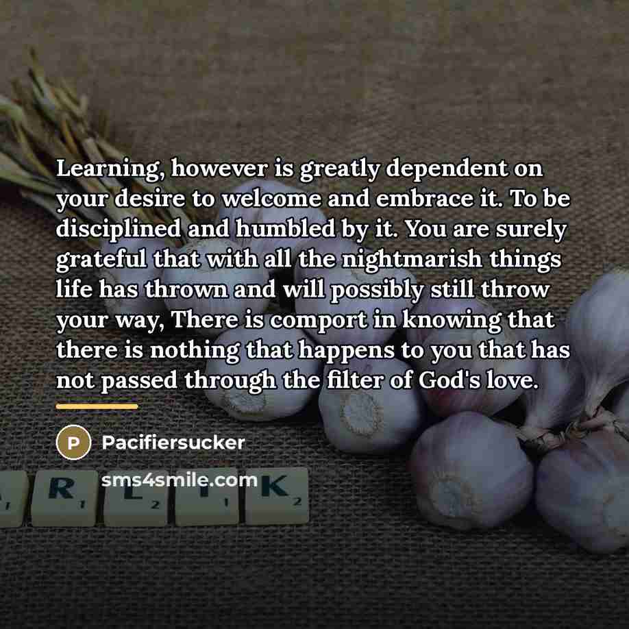 “Learning, however is greatly dependent on your desire to welcome…” quote by Pacifiersucker