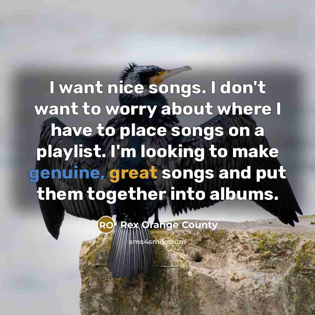 “I want nice songs. I don't want to worry about…” quote by Rex Orange County