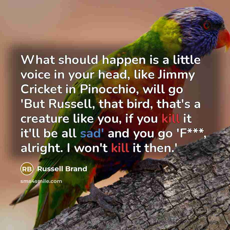 “What should happen is a little voice in your head,…” quote by Russell Brand