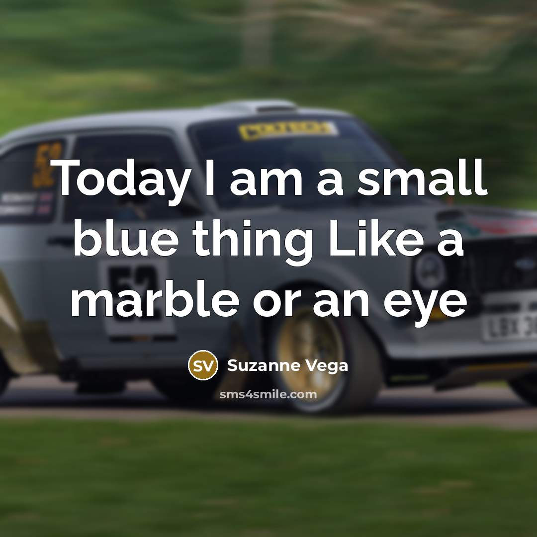 “Today I am a small blue thing Like a marble…” quote by Suzanne Vega