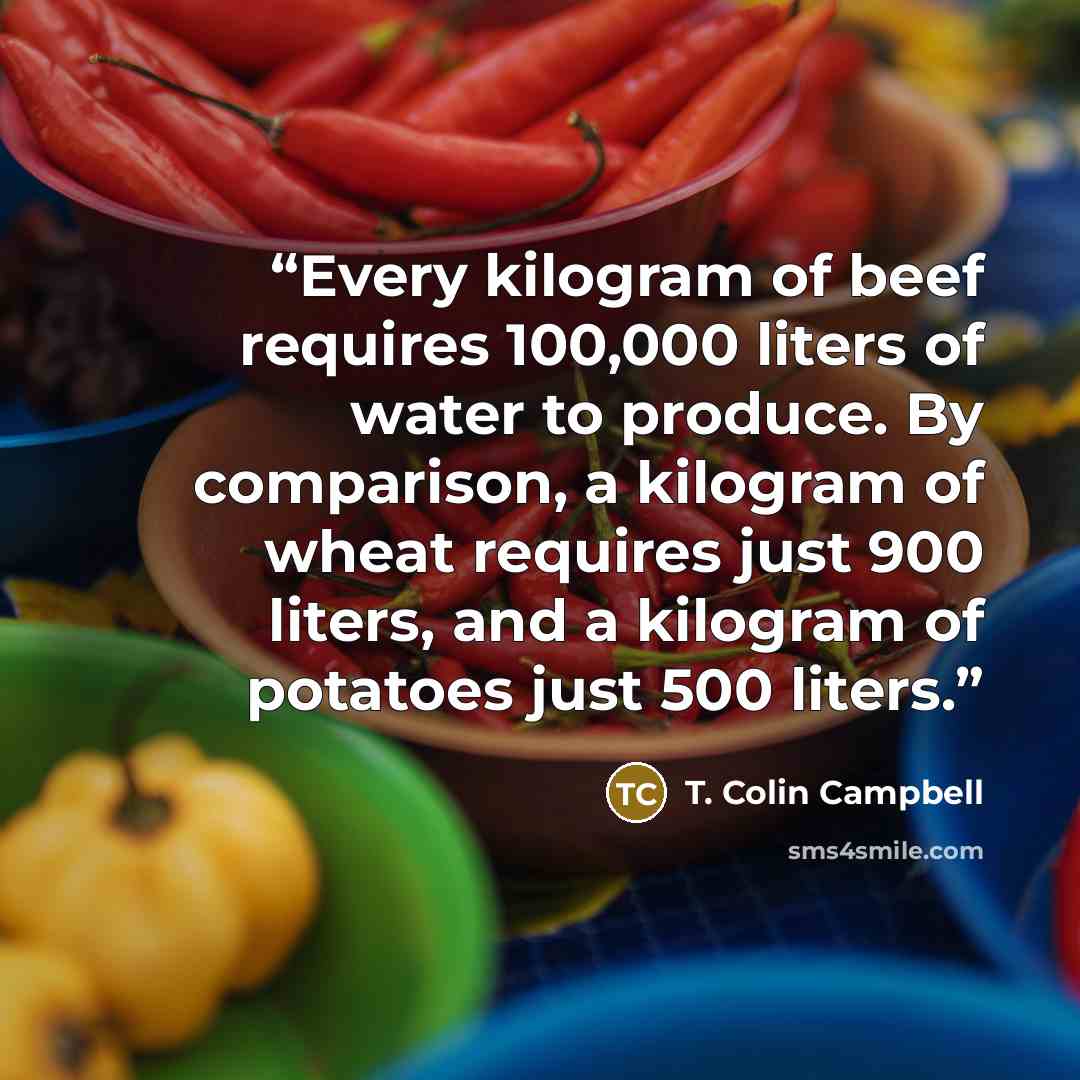 “Every kilogram of beef requires 100,000 liters of water to produce. By comparison, a kilogram of wheat requires just 900 liters, and a kilogram of potatoes just 500 liters.” quote by T. Colin Campbell