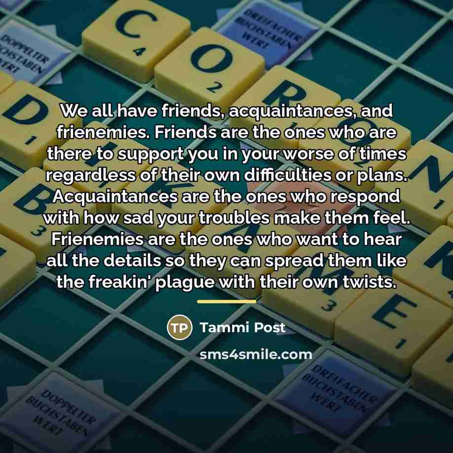 “We all have friends, acquaintances, and frienemies. Friends are the…” quote by Tammi Post