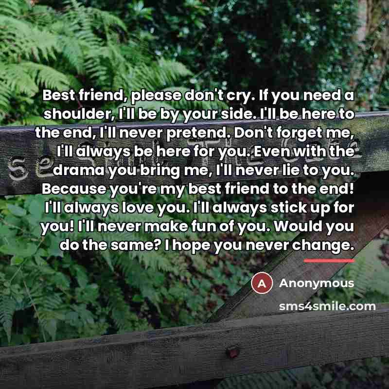 “Best friend, please don't cry. If you need a shoulder,…” quote by Anonymous