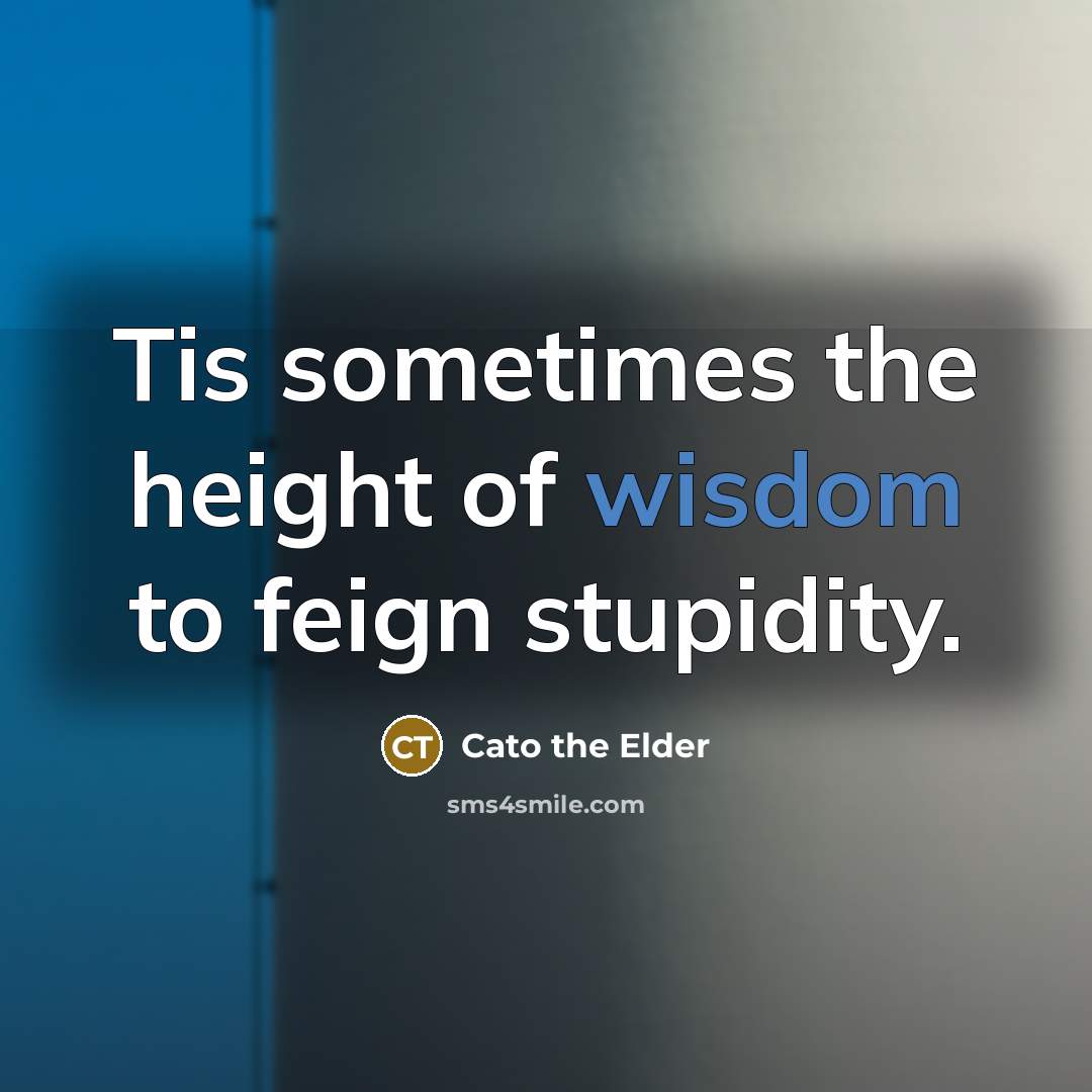 “Tis sometimes the height of wisdom to feign stupidity.…” quote by Cato the Elder